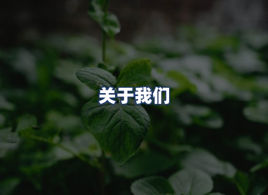 关于我们